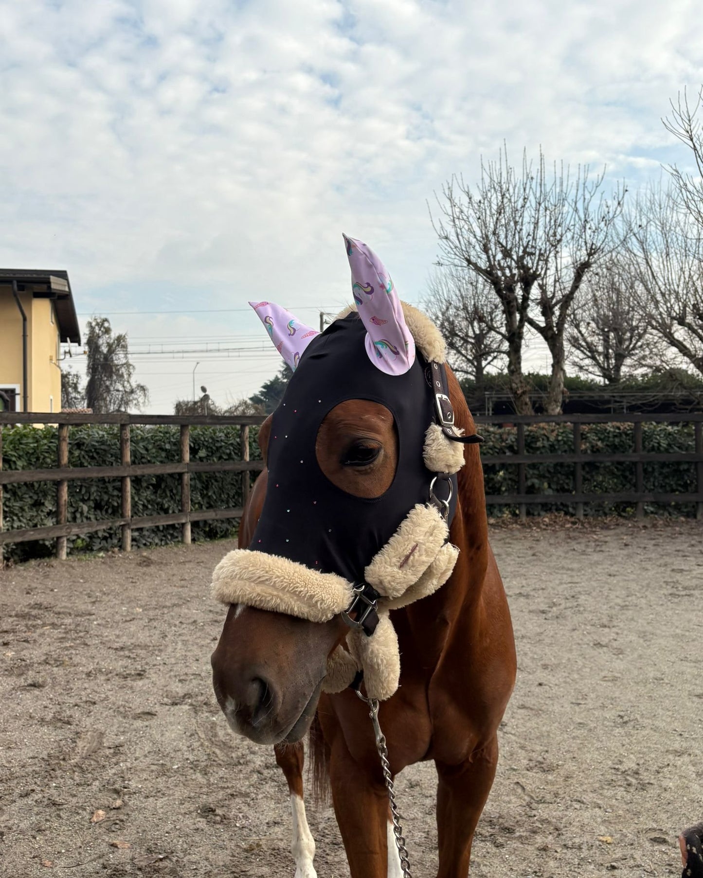 Cuffietta Strass e Fantasia Unicorni